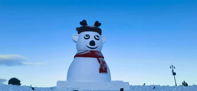 雪雕展示(图1)
